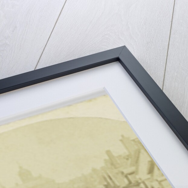 Panorama Tree and Flower Market in Amsterdam by Andries Jager