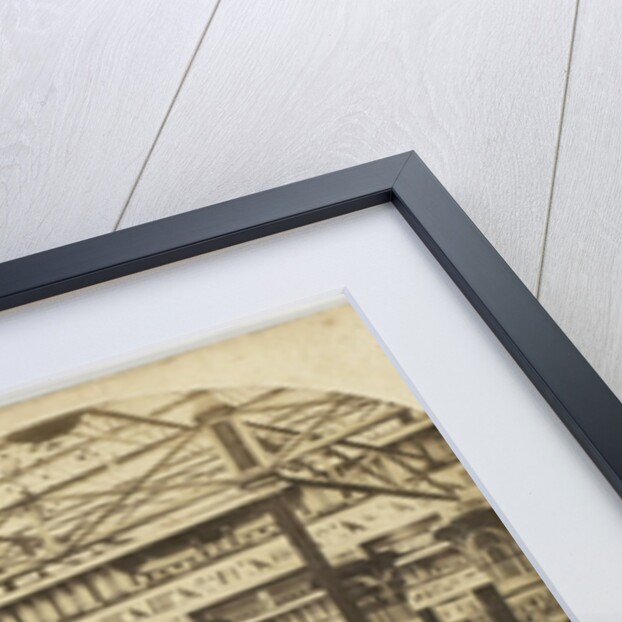 View in the Egyptian Court, Crystal Palace, Sydenham by The London Stereoscopic Company