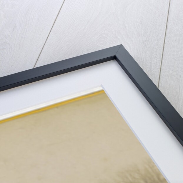 Duck cage by Johannes W. Merkelbach & Co