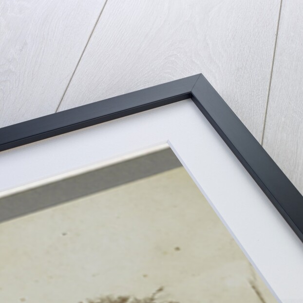 Monnikendam by Anonymous