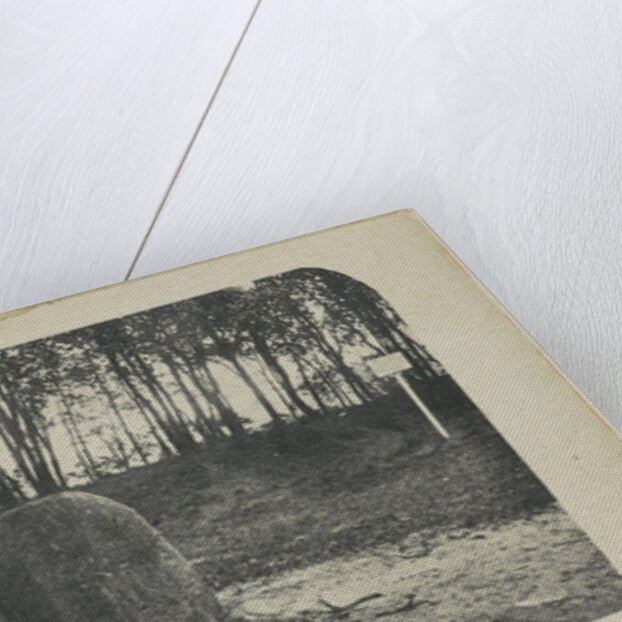 Rolle Balloerkuil by M.D. de Lange