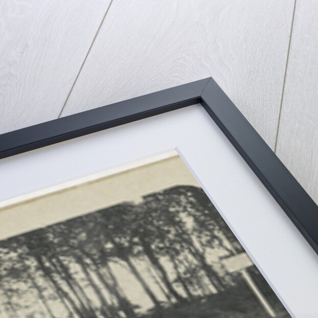 Rolle Balloerkuil by M.D. de Lange