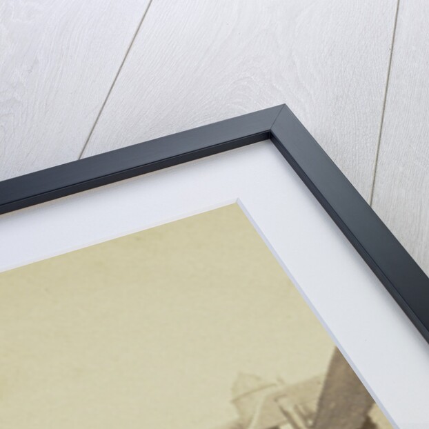 Mechelen, The Dyle (river) and the Botanical Garden by Jules Queval