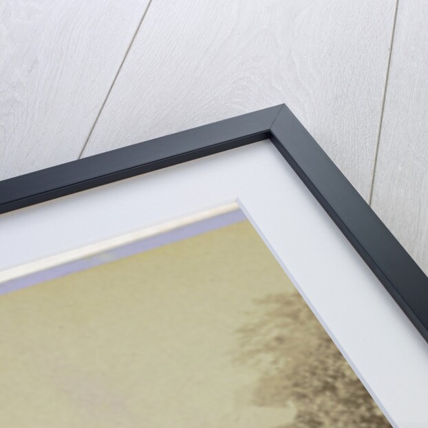 Antwerp Anvers Antwerpen Botanical Garden by Jules Queval