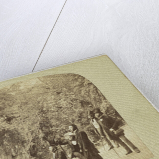 View on the Dargle, Ireland by Anonymous