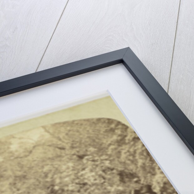 View on the Dargle, Ireland by Anonymous