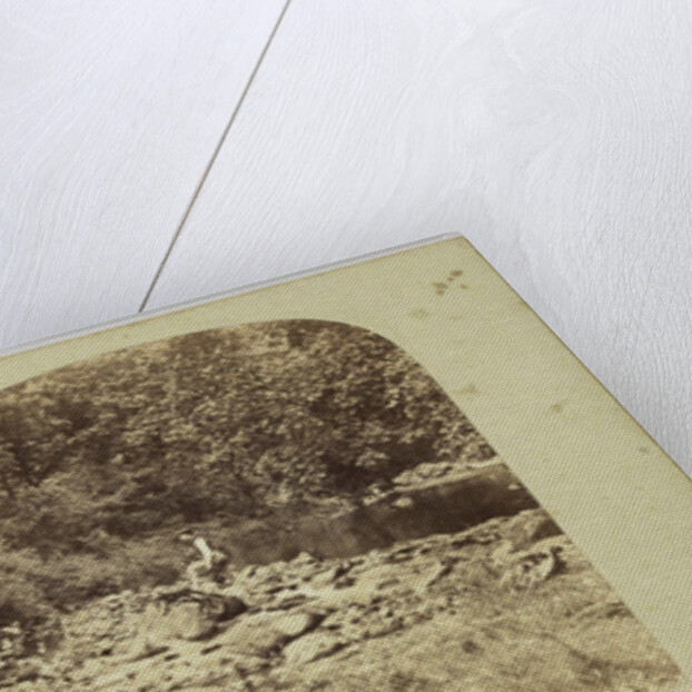 View in the Devil's Glen, County Wicklow, Ireland by Anonymous