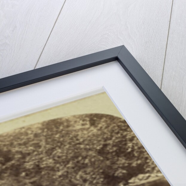 View in the Devil's Glen, County Wicklow, Ireland by Anonymous