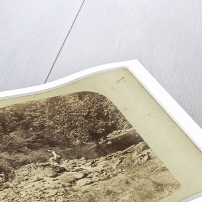 View in the Devil's Glen, County Wicklow, Ireland by Anonymous