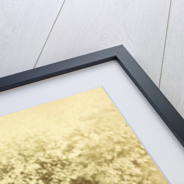 Constantinopel by Sophus Williams & E. Linde & Co