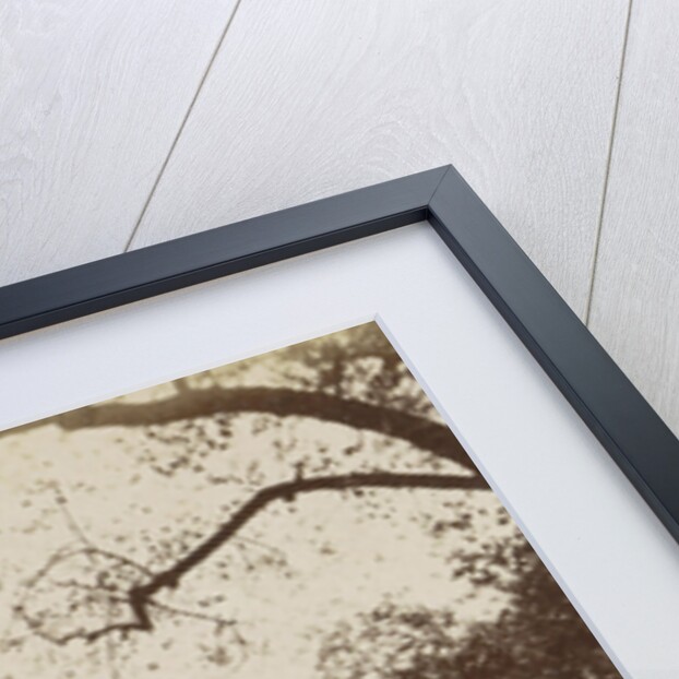 Unter den Linden Berlin by Johann Friedrich Stiehm