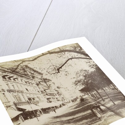 Unter den Linden Berlin by Johann Friedrich Stiehm