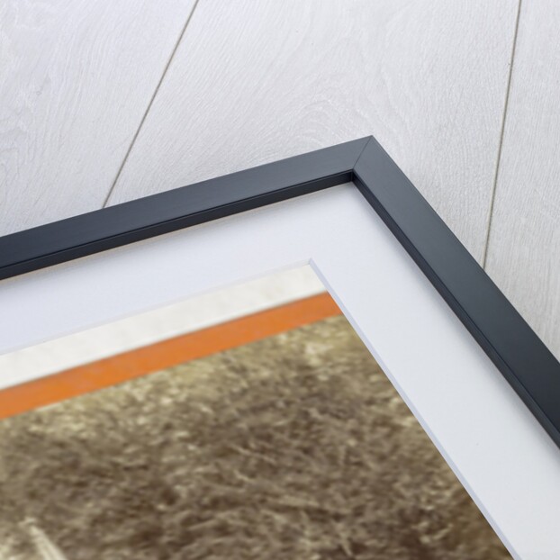 Lutherbuche bei Altenstein, Germany by H. Selle & E. Linde & Co