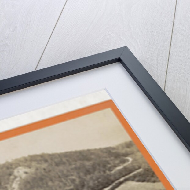 Die Wartburg, Germany by Sophus Williams & E. Linde & Co