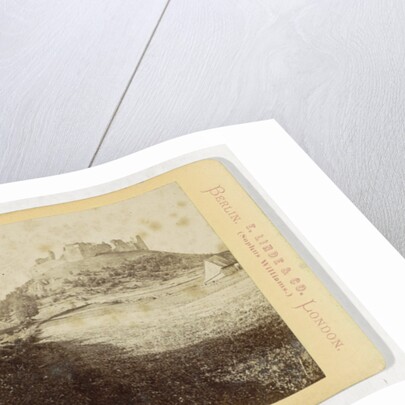 Ruine Tollenstein, St. Georgenthal in Bohemia by Sophus Williams & E. Linde & Co