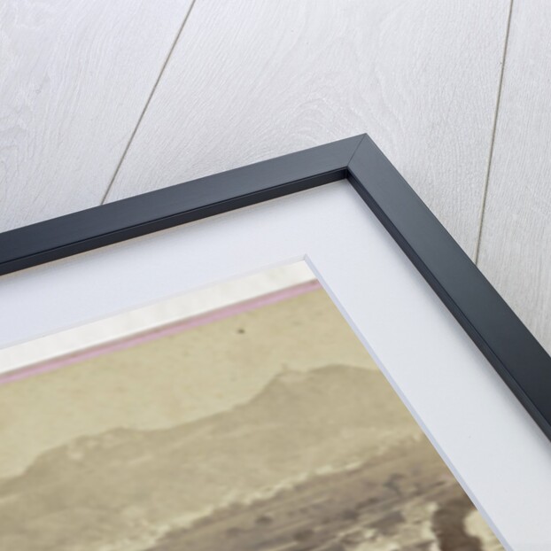 Sophus Williams & E. Linde & Co by Johann Friedrich Stiehm