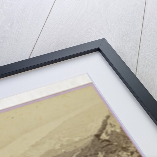 Sophus Williams & E. Linde & Co by Johann Friedrich Stiehm