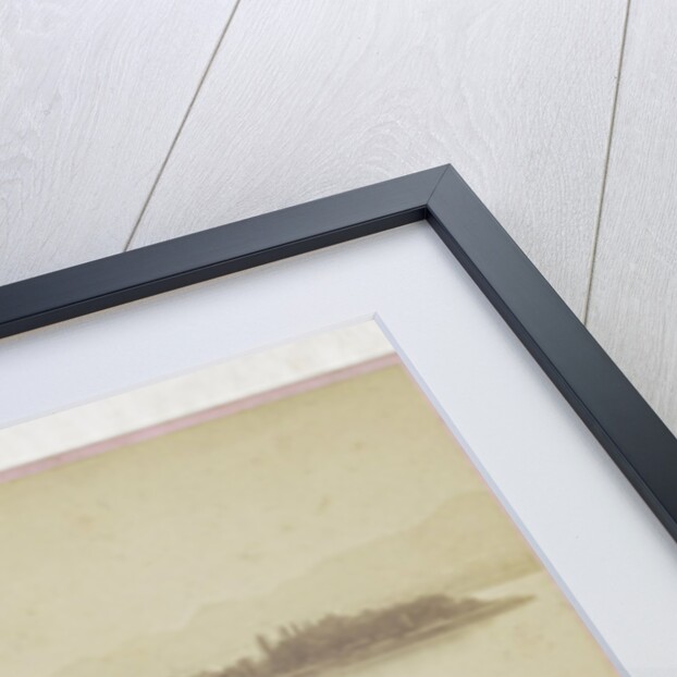 Sophus Williams & E. Linde & Co by Johann Friedrich Stiehm