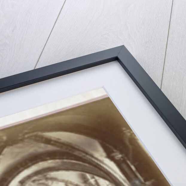 Sophus Williams & E. Linde & Co by Johann Friedrich Stiehm