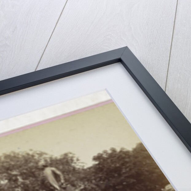 Sophus Williams & E. Linde & Co by Johann Friedrich Stiehm