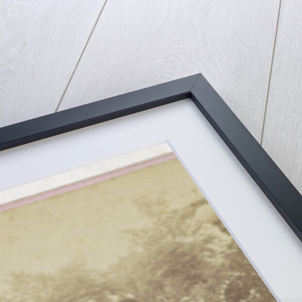 Sophus Williams & E. Linde & Co by Johann Friedrich Stiehm