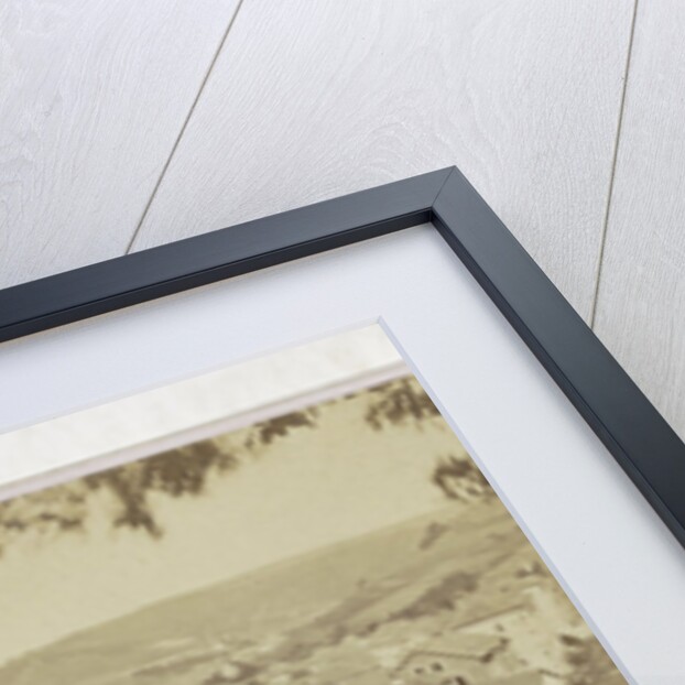 Sophus Williams & E. Linde & Co by Johann Friedrich Stiehm