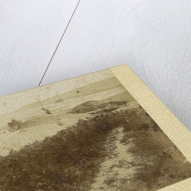 Panorama Bingen, Germany by Anonymous