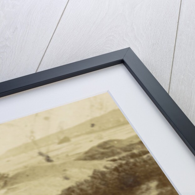 Panorama Bingen, Germany by Anonymous