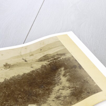 Panorama Bingen, Germany by Anonymous