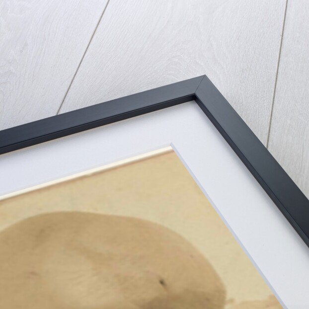 Nadars balloon terrain Palace of Industry in Amsterdam by Jan D. Brouwer