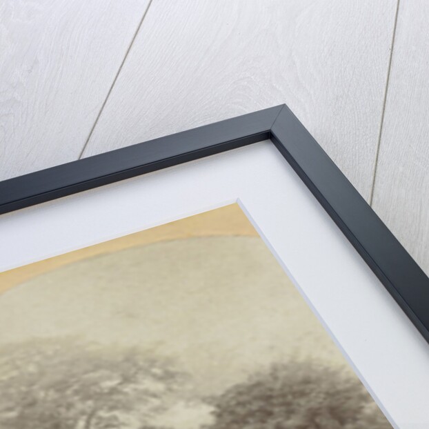 In Prestbury Park near Cheltenham UK by E. Fixon