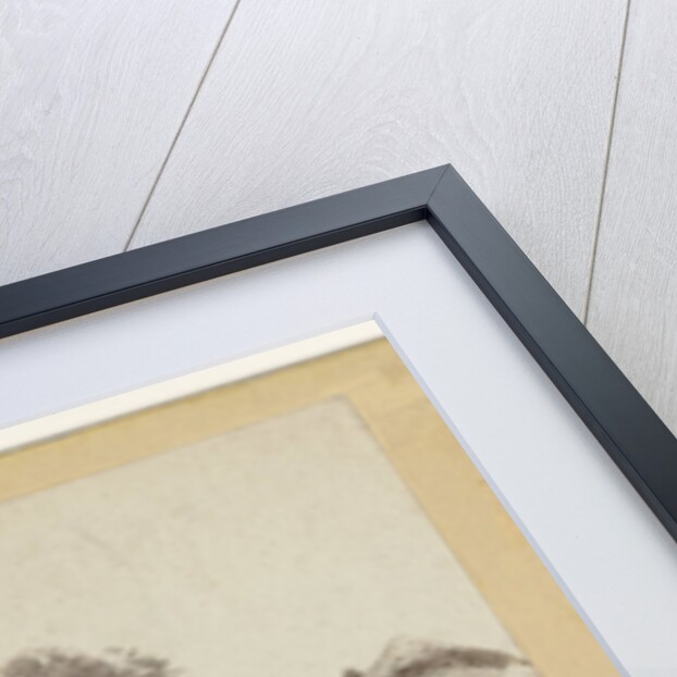 Moorland Cottage Dartmoor, Devon UK by William Palmer