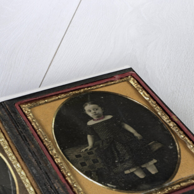 Portrait of a little girl by Peter Casteels III