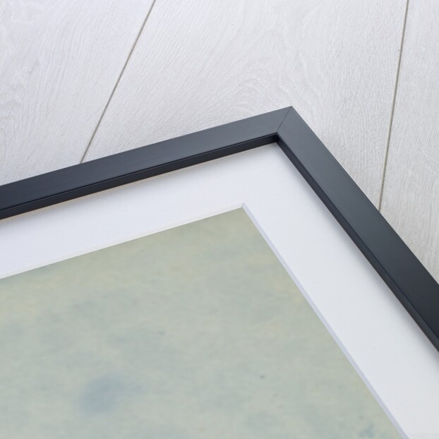 Young man in horse cart by Anonymous