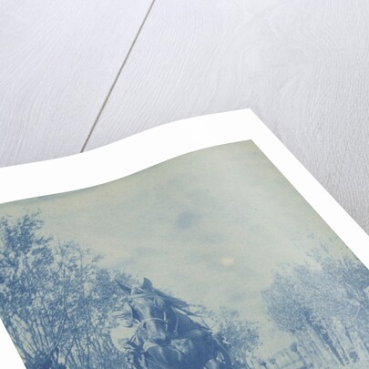 Young man in horse cart by Anonymous