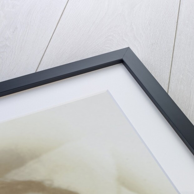 Post-mortem portrait of a woman with open eyes by J. Siewe