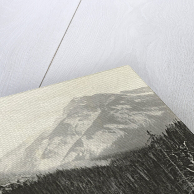 View over Kicking Horse Canyon by William Notman