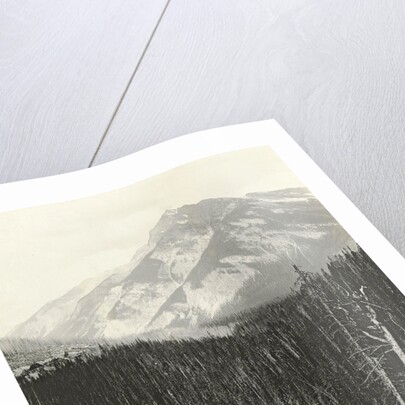 View over Kicking Horse Canyon by William Notman