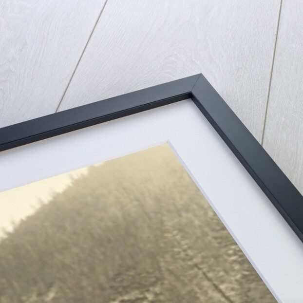 View of Kicking Horse Canyon and the Canadian Pacific Railway by William Notman