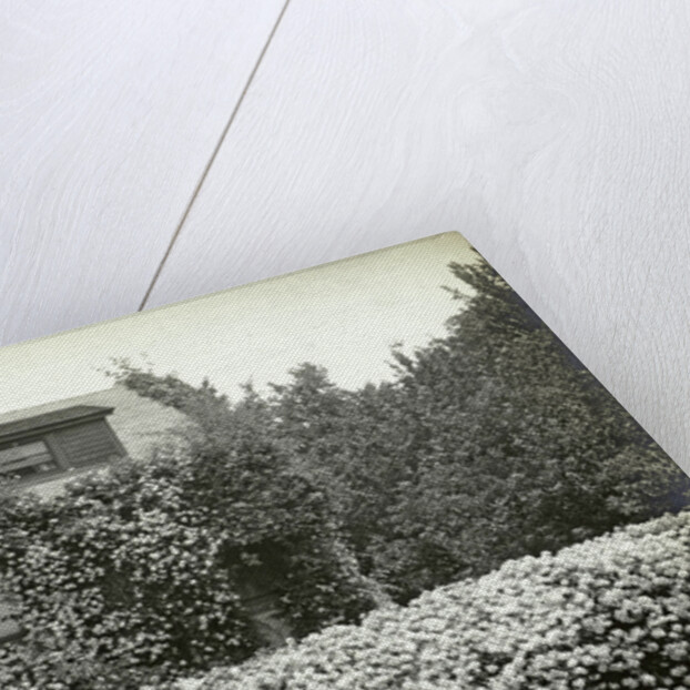 Garden and house overgrown with roses by Anonymous