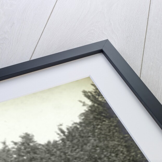 Garden and house overgrown with roses by Anonymous