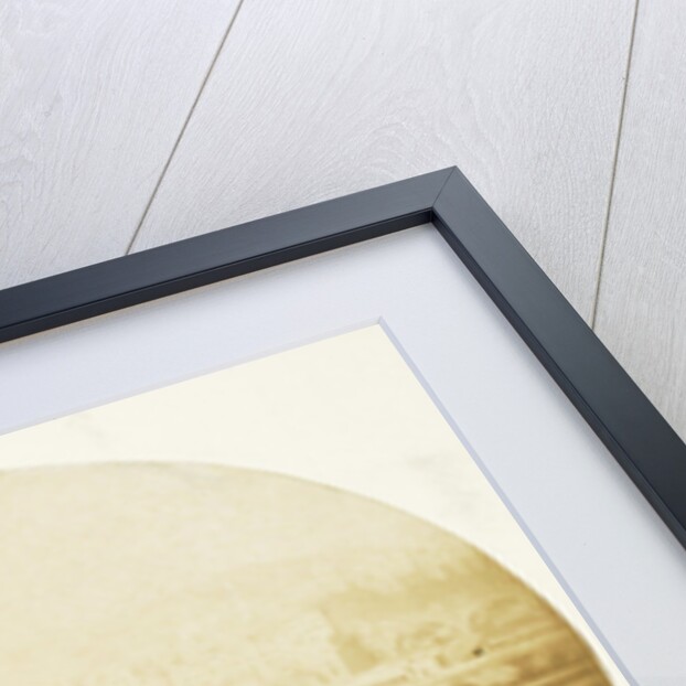 Oval view of Edinburgh, Scotland, with the monument to Sir Walter Scott by John Thomson