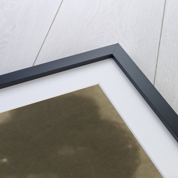 Portrait of a woman with feather hat by Heinrich Kühn