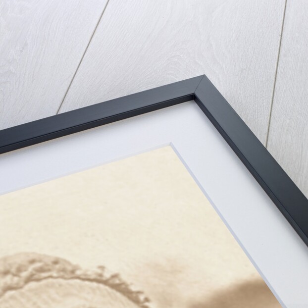 Girl from East Anglia by Peter Henry Emerson