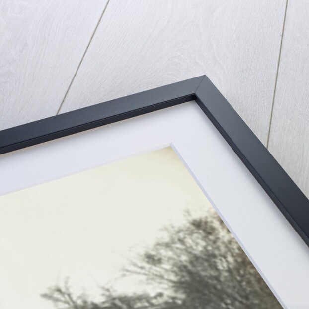 The Vondelpark in Amsterdam, The Netherlands overlooking the Vondel church and Vondelpark pavilion by Anonymous