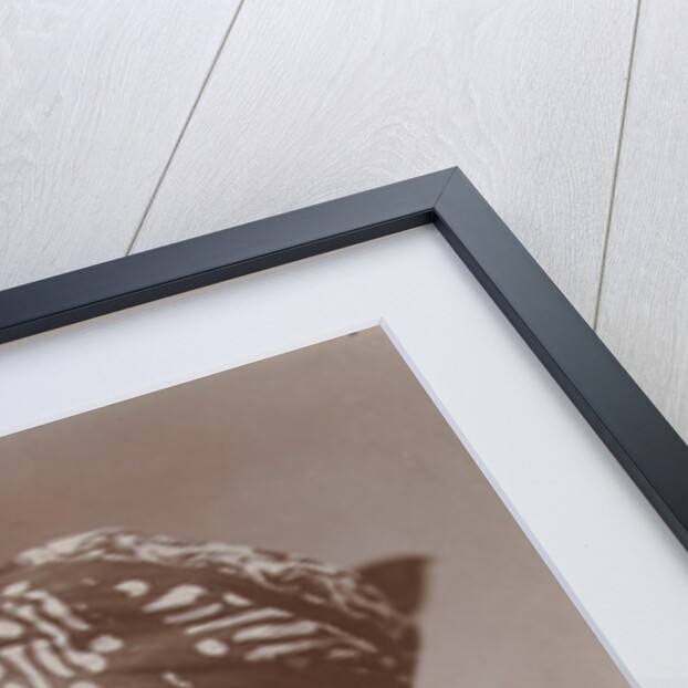 Portrait of an Indian man by Anonymous