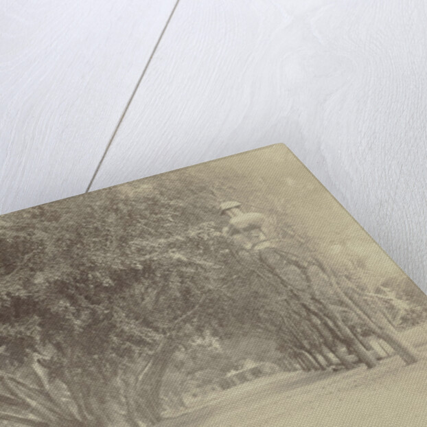 Street with large trees and sellers in Indonesia by Anonymous