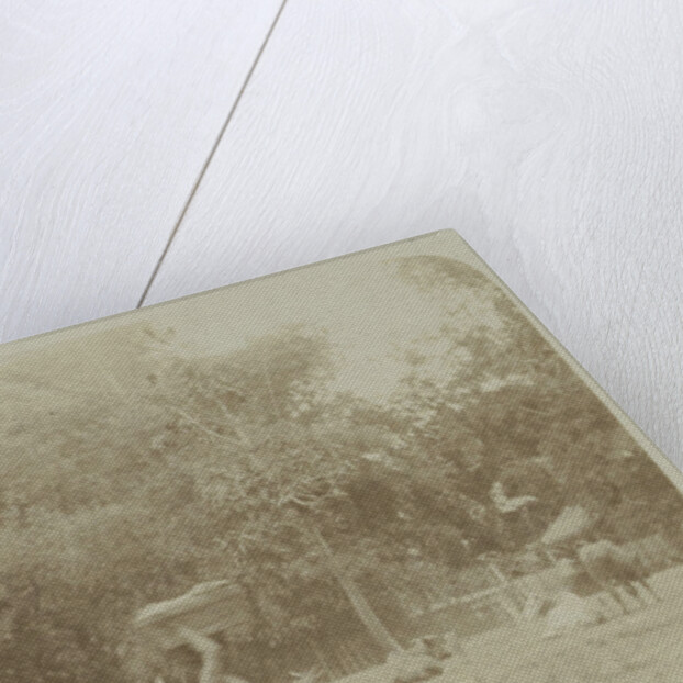 View of a farm with cows in Surabaya, Indonesia by Anonymous