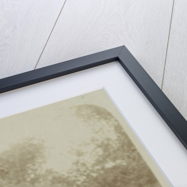 View of a farm with cows in Surabaya, Indonesia by Anonymous