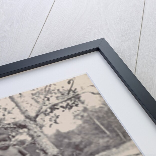 Two women and a child by Anonymous